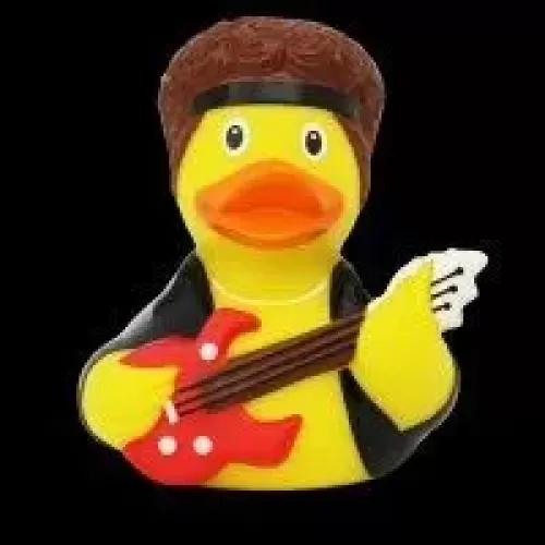 Rock Star Duck