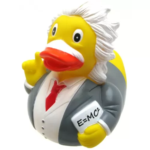 ALBERT EINSTEIN DUCK