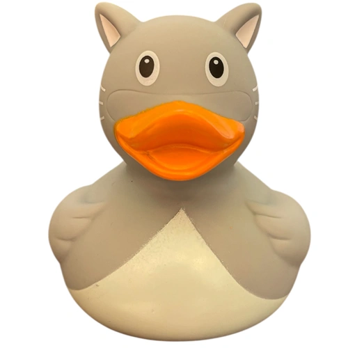  Grey Cat Duck