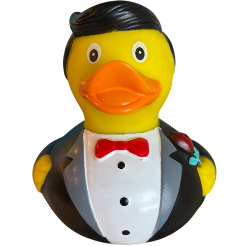 Groom Duck