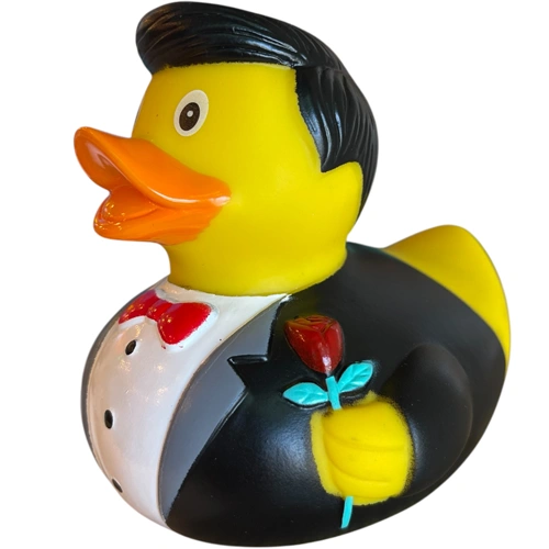 Groom Duck
