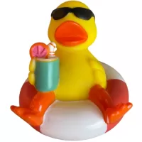 Duck On Vacation Duck On Vacation