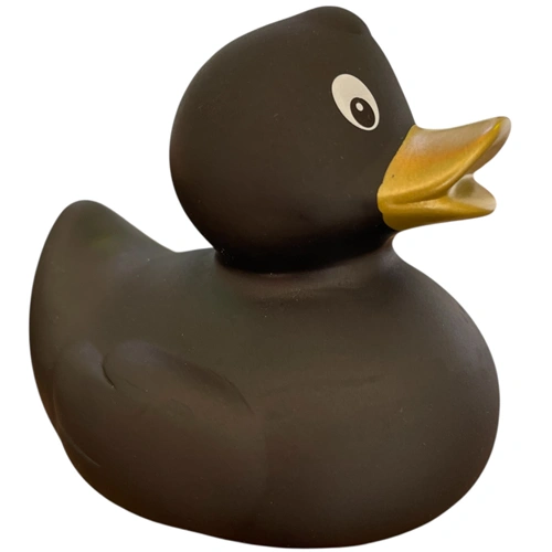 Duck Grace with a golden beak
