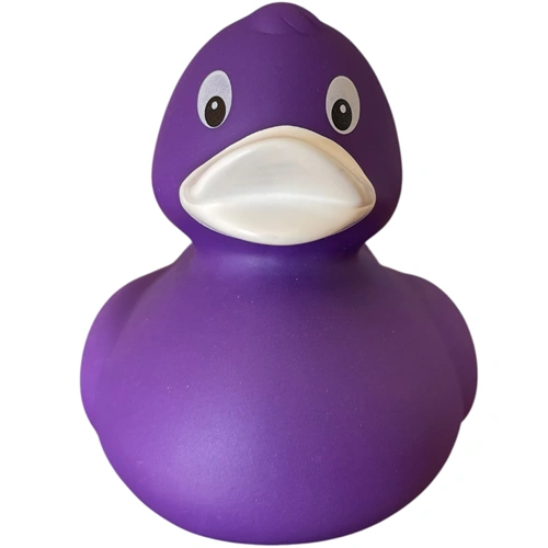 Duck LILO 