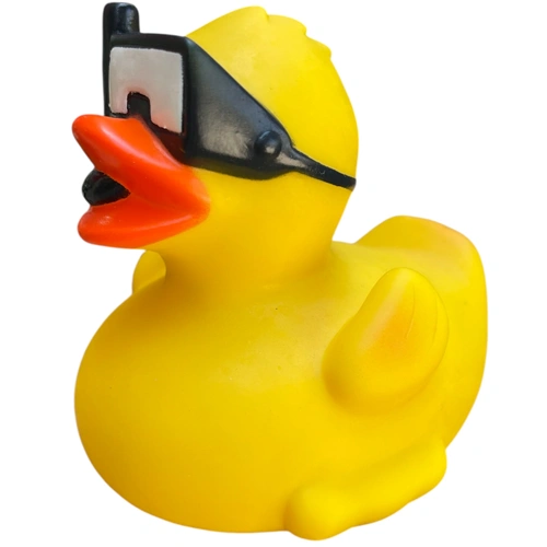 Duck In A Swimming Mask 