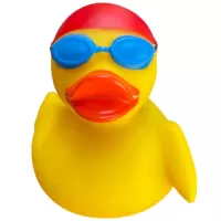 Duck Swimmer Duck Swimmer