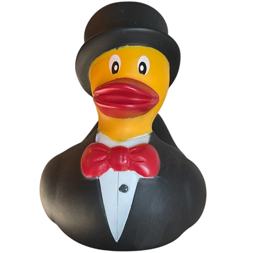 Duck Groom