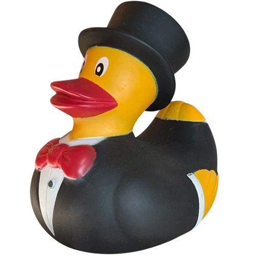 Duck Groom