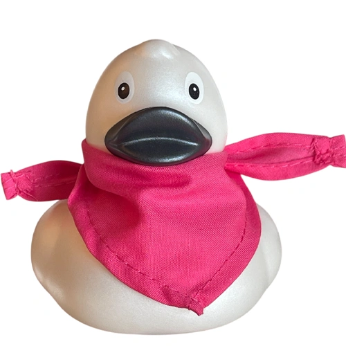 Accessories Bandanas For Duck 