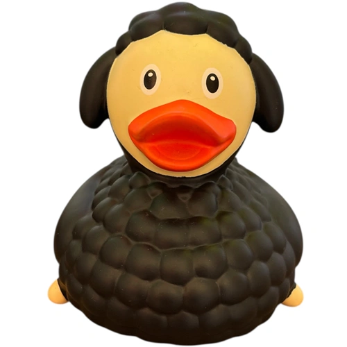  Black Sheep Duck