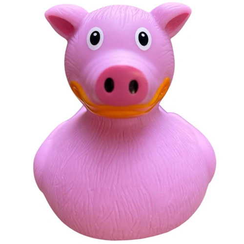 Pig duck 