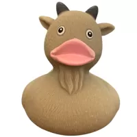 Goat Duck Goat Duck