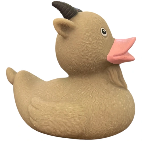 Goat Duck