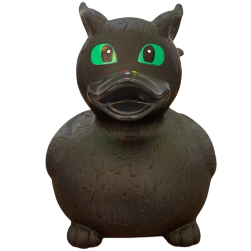 Little Dragon Duck