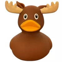 Moose Duck Moose Duck