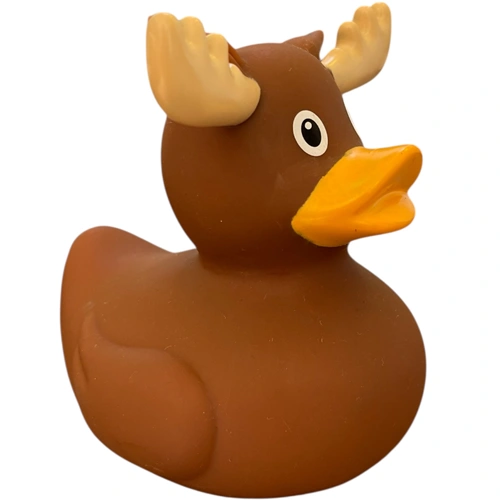  Moose Duck 