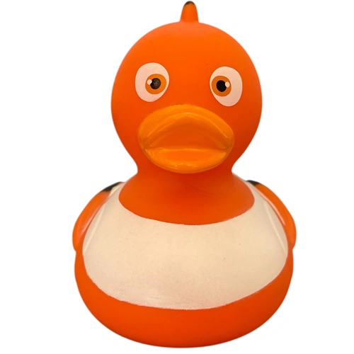 Clown Fish Duck