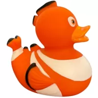 Clown Fish Duck Clown Fish Duck