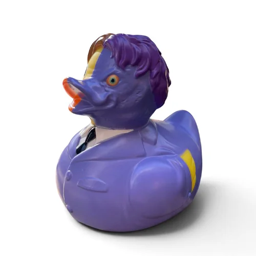 Two Face Duck