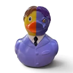 Two Face Duck