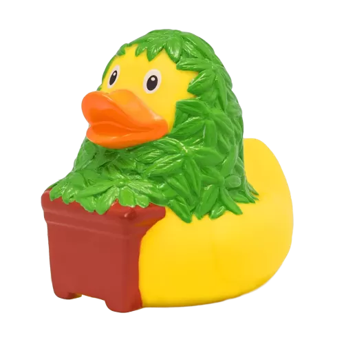 CANNABIS DUCK