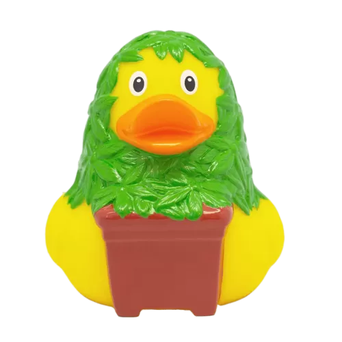 CANNABIS DUCK