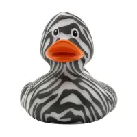 Zebra Print Duck Zebra Print Duck