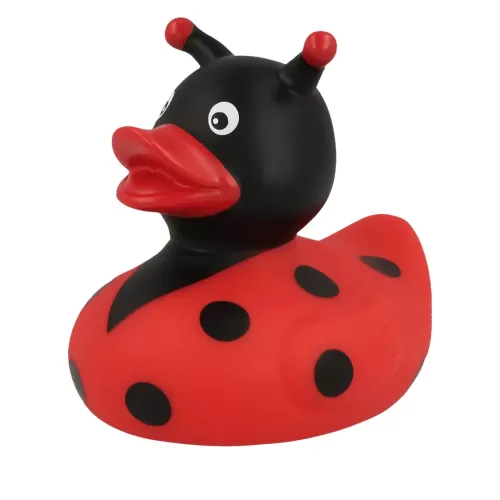 LADYBUG DUCK