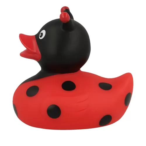 LADYBUG DUCK