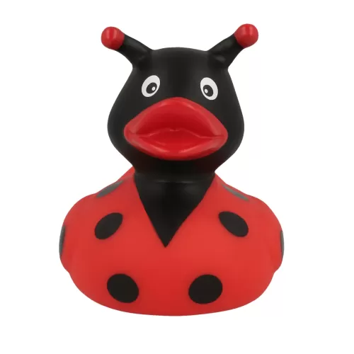 LADYBUG DUCK