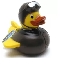 Old Fashioned Pilot Duck