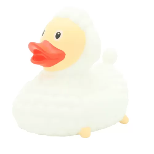 SHEEP DUCK