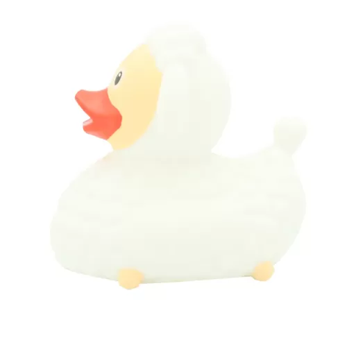SHEEP DUCK