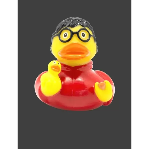 Wizard Harry Duck
