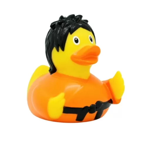 Kung-Fu Duck