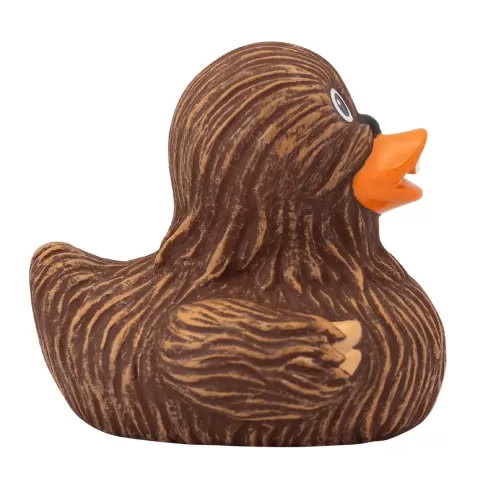 WHOOPING DUCK