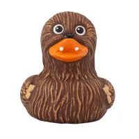 WHOOPING DUCK WHOOPING DUCK