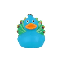 Duck And Peacock Duck And Peacock