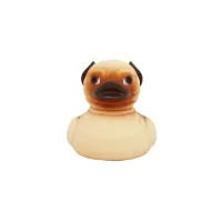 Pug Duck Pug Duck