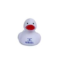 White Israeli Duck White Israeli Duck