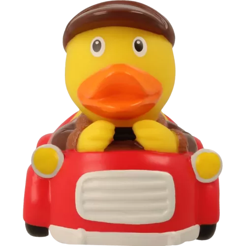 CAR DRIVER DUCK