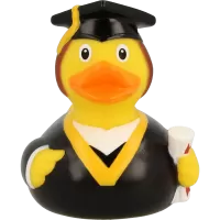 BACHELOR DUCK