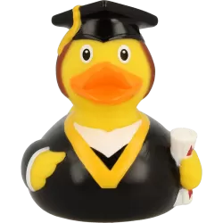 BACHELOR DUCK