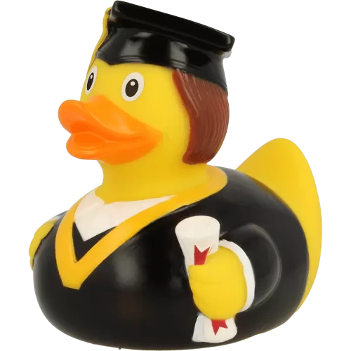 BACHELOR DUCK