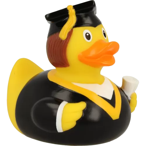 BACHELOR DUCK