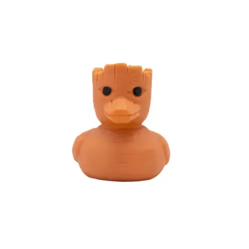 Groot Duck