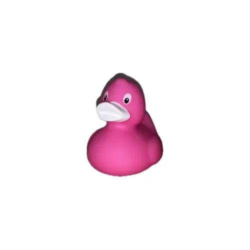 Pink Duck