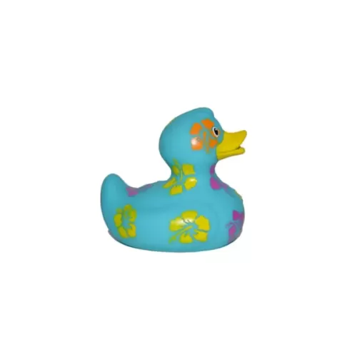 Hawaiian Duck