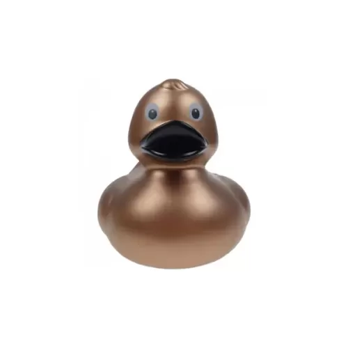 Shiny Bronze Duck