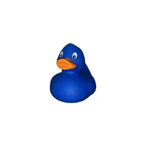 Blue Duck